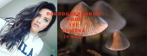 дмт Баксан