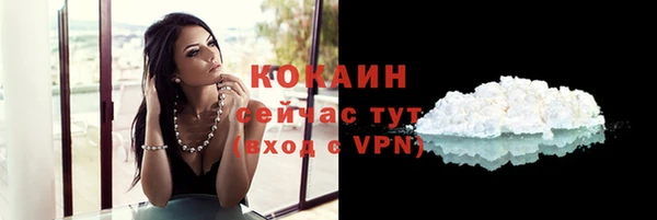 молекула духа Белоозёрский