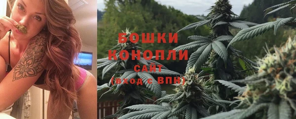 молекула духа Белоозёрский