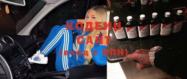 молекула духа Белоозёрский